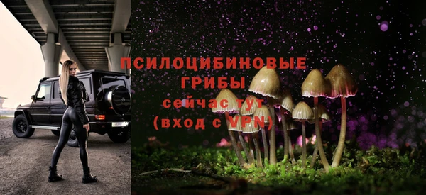 PSILOCYBIN Армянск